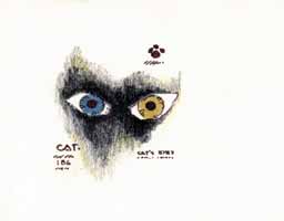 Cats Eyes by John Cataldi